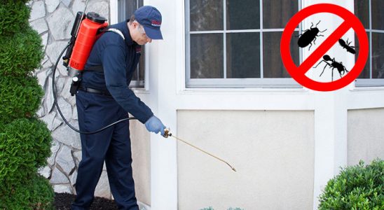 Kemaliye Dezenfeksiyon böcek ilaçlama ve haşere kontrolü — ilaclama-tr.com